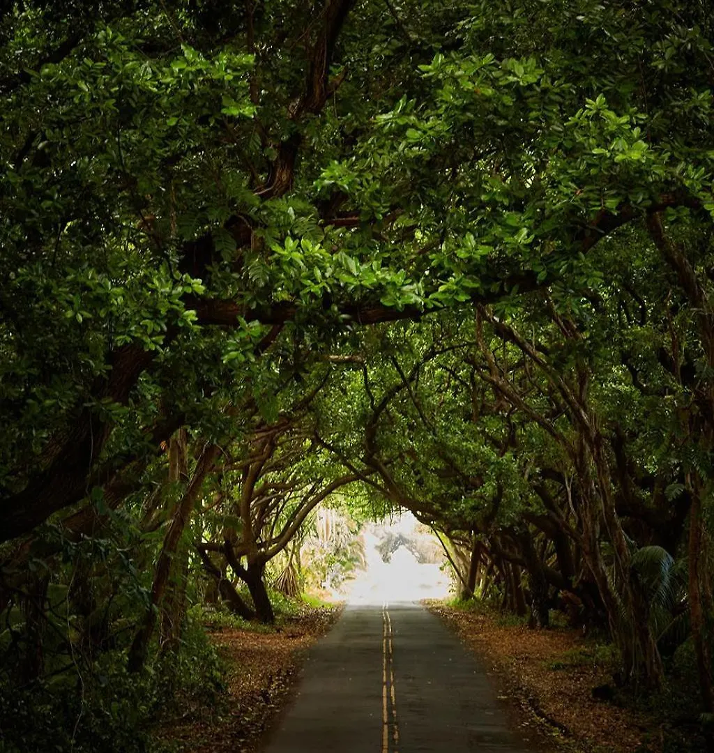Open Gate Hostel Hawaii Pahoa 0*,  United States